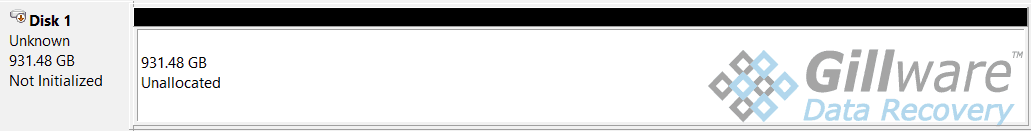 Laptop data recovery - disk not initialized